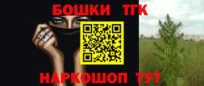 Альфа ПВП Будённовск