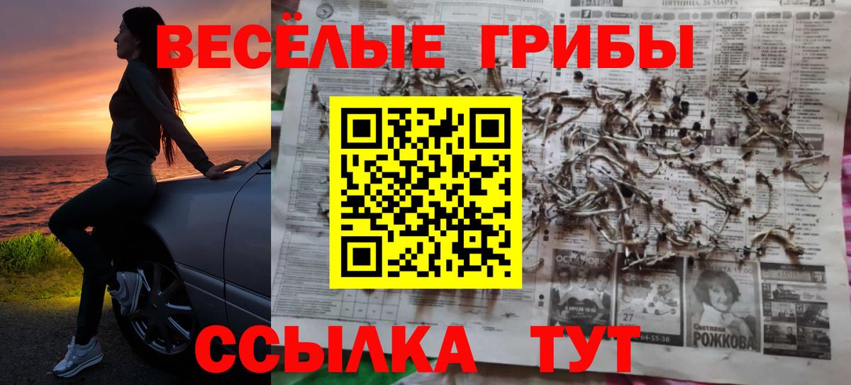 Галлюциногенные грибы Cubensis  Вход с VPN  Ачхой-Мартан  Псилоцибиновые грибы Magic Shrooms 